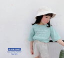 キッズ 半袖Tシャツ ロゴプリント パステルカラー 男の子 女の子 春 夏 秋 韓国子供服 トップス ふんわりTシャツ ビックシルエット ビックサイズ キッズ カジュアル かわいい 100 110 120 130