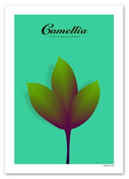 A2サイズ ポスター 【Camellia ブルー】 インテリア アート 植物,花ポスター Interior Art Poster