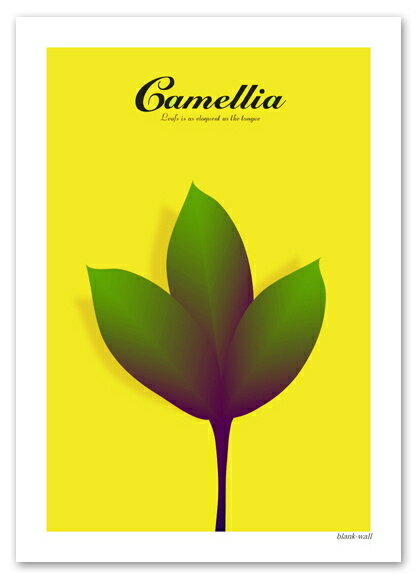 A3サイズ ポスター 【Camellia イエロー】 インテリア アート 植物,花ポスター Interior Art Poster