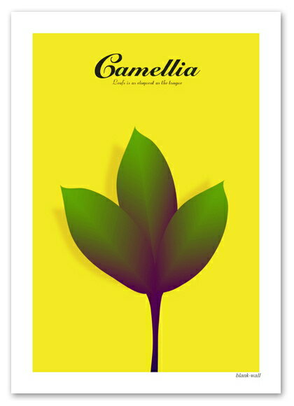 A3サイズ ポスター 【Camellia イエロ...の商品画像