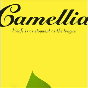 A3サイズ ポスター 【Camellia イエ...の紹介画像3