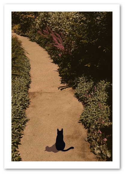 楽天ポスター販売【blank-wall】A2サイズ ポスター シルエットキャット 【Garden】 インテリア アート 猫 ねこ ネコ