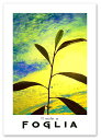 A3サイズ ポスター  インテリア アート 植物,花ポスター Interior Art Poster