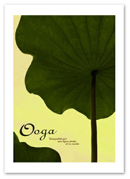 楽天ポスター販売【blank-wall】A3サイズ ポスター 【Ooga】 インテリア アート 植物,花ポスター Interior Art Poster