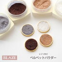 【約0.5g入り】封入パーツ ベルベット パウダー BLAZE ネイル用品 レジン ジェルネイル デコパーツ 商用利用可能 ネイルパーツ ハンド..