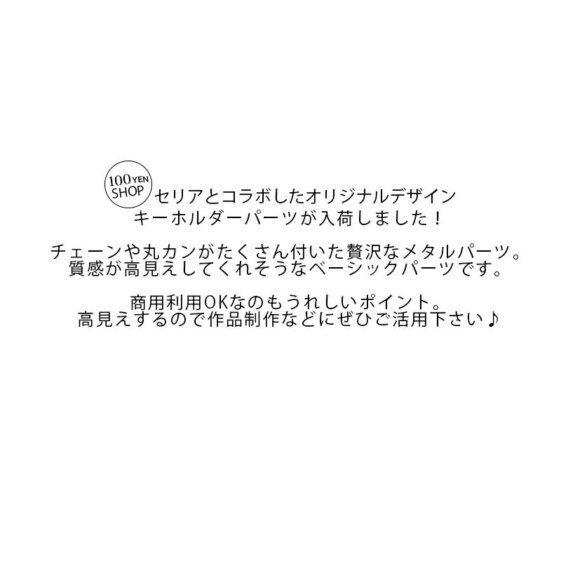 バッグチャーム 金具 12.5cm 15.5cm BLAZE 商用利用可 アクセサリー パーツ 副資材 DIY 素材 材料 ハンドメイド クラフト 手芸 手作り基礎パーツ キーチェーン ナスカン キーホルダー 2重カン チェーン 接続金具 亜鉛合金 鋼 おしゃれ ゴールド シルバー