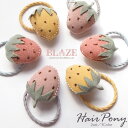 ミニ ヘアゴム いちご 2個セット BLAZE ヘアアクセサリー ヘアアクセ キッズ ヘアアレンジ 髪ゴム 髪留め 髪飾り まとめ髪 かわいい カジュアル 子供...