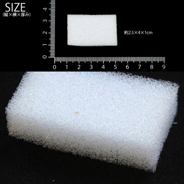 アクセサリー 梱包用 クッション スポンジ 10個セット BLAZE ハンドメイド クラフト ラッピング
