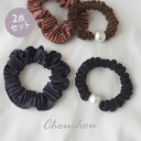 【550円福袋チケット対象】【2個セット】シュシュ ヘアゴム 細め サテン プリーツ ラメ パール 跡がつかない ヘアアクセサリー ヘアアクセ レディース 大人...