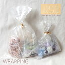 BLAZEオリジナル ラッピング セット ビニタイ 付き 半透明 ギフト 袋 プレゼント 包装 ラッピング袋 贈り物 イベント 包装資材 ラッピング用品 パッケ...