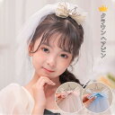 ★1000円ポッキリ 送料無料★ヘアピン ヘアクリップ 王冠 ティアラ キッズ 子供用 誕生日 パーティー 結婚式 発表会 七五三 ヘアアクセサリー ヘアーピン...
