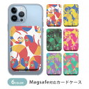 MagSafe対応 MagSafe 全機種対応 カードケース マグセーフ 磁気内蔵カード収納 カードケース カメレオン 爬虫類 カラフル ポップル