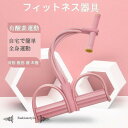 簡単な全身運動 男女通用 健康器具 高強度 有運動 室内 健康器具 背筋 腹筋 腰 お腹 トレーニング フィットネス ヨガ器材 家庭用 室内