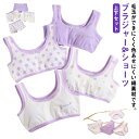 ブラジャー4枚&ショーツ4枚セット!ブラ ジュニア キッズ パッドなし 綿 ブラショーツセット ジュニアブラ ブラトップ スポーツブラ 女の子 小学生 中学生 ...