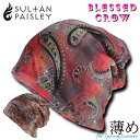 【店内P5倍中】薄手 地中海 ペイズリー SultanPaisleyビーニー 模様 ニット帽 涼しい 春 夏 蒸れにくい 通気性 エキゾチック ターバン ヘアバ...