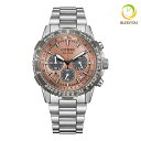 CITIZEN PROMASTER シチズン エコドライブ電波 腕時計 メンズ プロマスター CA4664-60X 88.0 2025年3月
