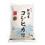 令和元年 新米 新潟県産 コシヒカリ 1キロ 1kg こしひかり ギフト