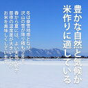 令和5年 魚沼産コシヒカリ 特別栽培米 10kg （5キロ×2袋=10キロ） 新潟県 ギフト【新潟米】 【贈答用】【楽ギフ_包装】【楽ギフ_のし宛書】　 令和3年 5kg×2 3