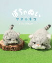 キーホルダー ぬいぐるみ 人形 マスコット チャーム かわいい マヌルネコ ねこ 猫 グッズ 動物 キーリング プレゼント 癒しグッズ マヌルぽちゃキーホルダー ブルーブルーエ bleubleuet(4)
