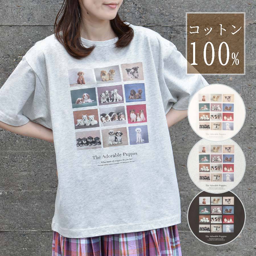 Tシャツ トップス カットソー レディース 半袖 綿100％ おしゃれ かわいい 子犬 いぬ グッズ 動物 アニマル プリント ギフト プレゼント ホワイト 白 グレー チャコール PUPPYフォトTシャツ ブルーブルーエ bleubleuet