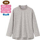 【後ろ長めTシャツ(婦人)】高齢者 高齢者向け ファッション シニア アパレル レディース 女性服 大人 おしゃれ アイテム 上品 デザイン 可愛い 襟 Tシャ...