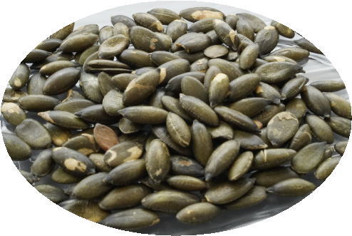 北海道十勝産　ペポカボチャの種業務用B品（焙煎）480g