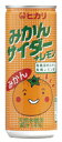 ヒカリ みかんサイダー+レモン オーサワジャパン 250ml