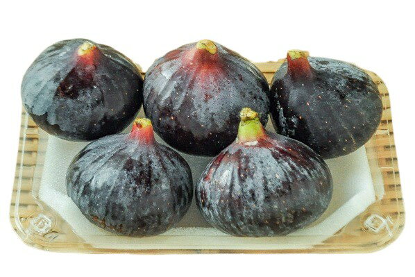 【朝市場直行】フルーツ　黒いちじく（ビオレソリエス）5Tサイズ　佐賀県ほか　300g位【冷蔵】のサムネイル