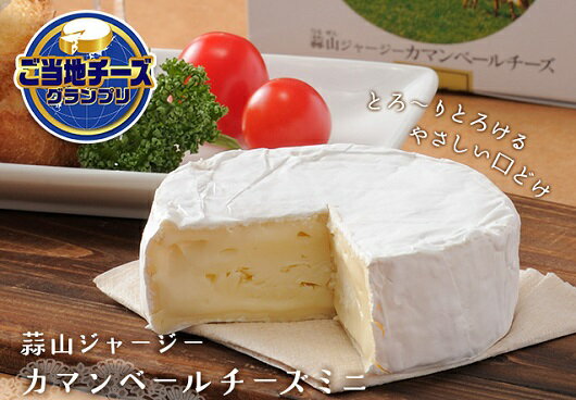 �ǻ��ʤҤ뤼����������ǻ����㡼�������ޥ�١�����������ߥˡ���Ȣ����60g����¢��