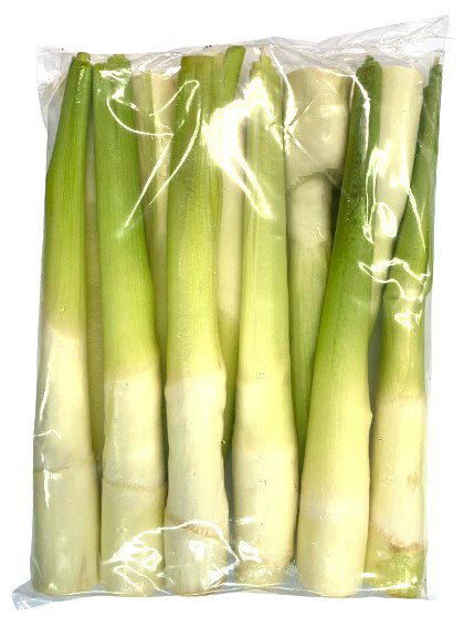 【朝市場直行】中国ほか まこも茸 1kg x4個セット【冷蔵】