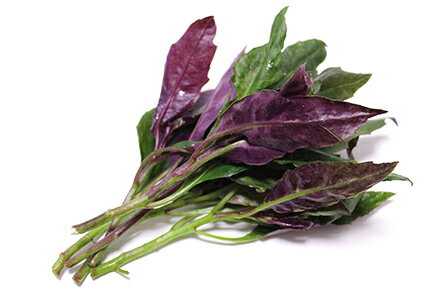 【朝市場の新鮮野菜】式部草 （しきぶそう）・金時草（きんじそう）約200gのサムネイル