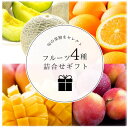 【朝市場直行・送料無料】豊洲果物専門仲卸「小田政」監修フルーツギフト 初夏のおすすめ果物セット(4種)(メロン・マンゴ・オレンジ・プラム)【冷蔵】【楽ギフ_のし】