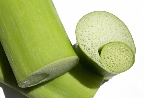 【送料無料】【朝市場直行】高知県ほか ハス芋 はすいも PC 約200g x2個セット【冷蔵】