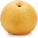 【朝市場直行】千葉県ほか 和梨 1個 約400~450g x4個セット【冷蔵】