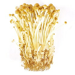 【朝市場直行】長野県ほか エノキ茸 山えのき(袋)約100g x6個セット【冷蔵】