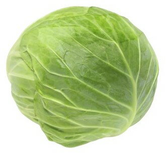 【朝市場直行】愛知県ほか キャベツ 1個 約950g〜1.2kg x6個セット【冷蔵】