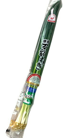 【送料無料】【朝市場直行】福岡県ほか　博多万能ねぎ　PC　約100g　x2個セット【冷蔵】 2