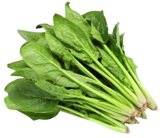 【朝市場直行】群馬県ほか ほうれん草(袋) 約170g〜200g x4個セット【冷蔵】