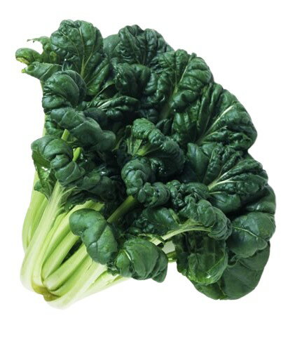 【朝市場直行】静岡県ほか ターサイ(タァサイ)Lサイズ PC 約150g〜200g x6個セット【冷蔵】