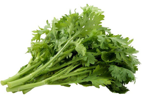 【送料無料】【朝市場直行】千葉県ほか 春菊(袋) 約100g〜150g x2個セット【冷蔵】