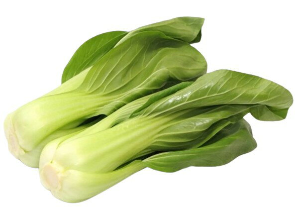 【朝市場直行】静岡県ほか 青梗菜(チンゲン菜) (袋) 約200g x4個セット【冷蔵】