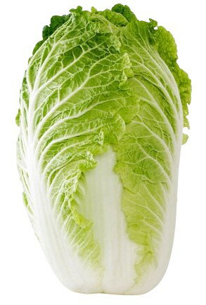 【朝市場直行】茨城県ほか 白菜 1個 約2kg x4個セット【冷蔵】