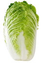 【朝市場直行】業務用・送料無料 茨城県ほか 白菜 6個入り(ケース)【冷蔵】