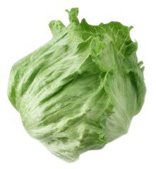 【朝市場直行】茨城県ほか レタス Lサイズ 1個 約300g x4個セット【冷蔵】