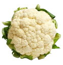 【送料無料】【朝市場直行】愛知県ほか カリフラワー 1個 約300〜400g x2個セット【冷蔵】