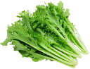 【送料無料】【朝市場直行】栃木県ほか わさび菜 束 約80g x2個セット【冷蔵】