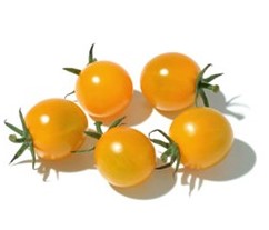 【朝市場直行】北海道ほか ミニトマト 黄 PC 約200g x6個セット【冷蔵】