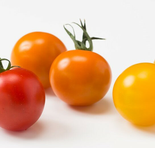 【朝市場直行】北海道ほか ミニトマト オレンジ PC 約200g x6個セット【冷蔵】