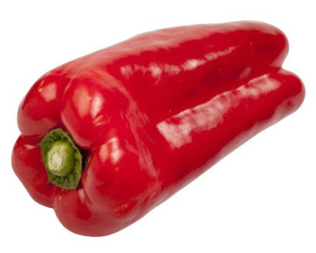 【朝市場直行】宮崎県ほか 赤ピーマン 約1kg x6個セット【冷蔵】