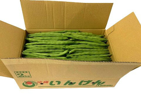【朝市場直行】業務用・送料無料 沖縄県ほか インゲン Mサイズ(ケース)【冷蔵】